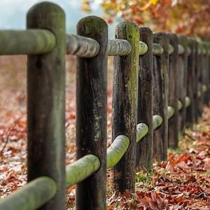 Read more about the article Ullam esse iste sint quasi reiciendis.